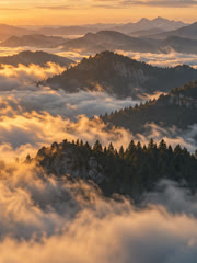 Sunrise over a sea of clouds, from the Mistline stills